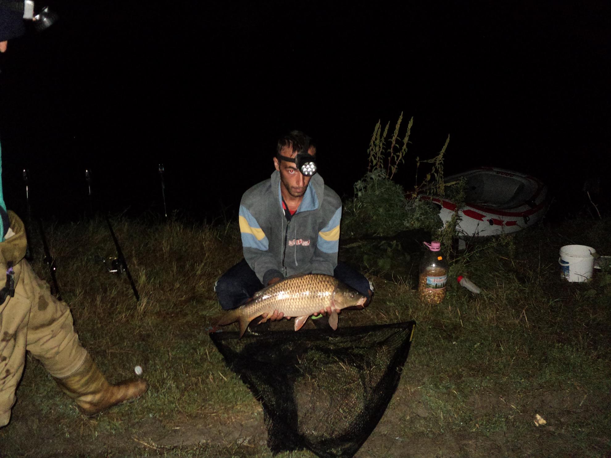 o mica parte din pesti de anul trecut - dsc01906.JPG